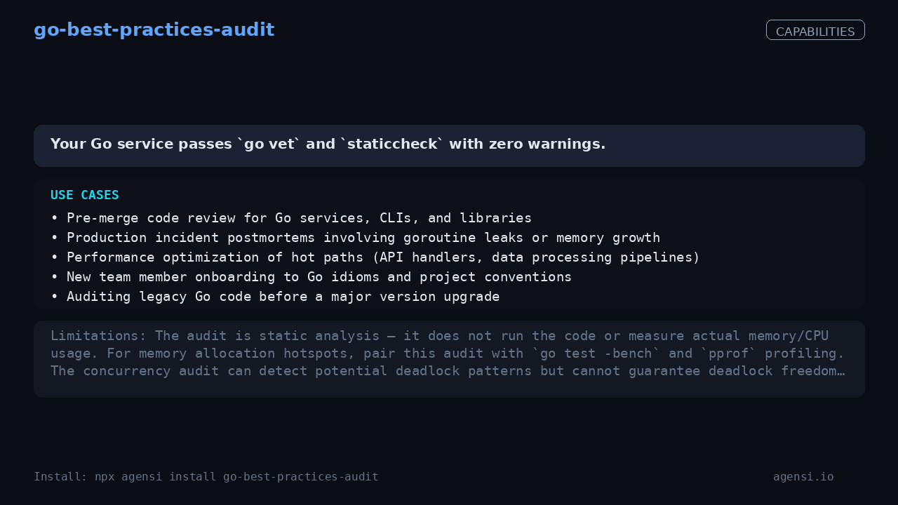 go-best-practices-audit screenshot 2