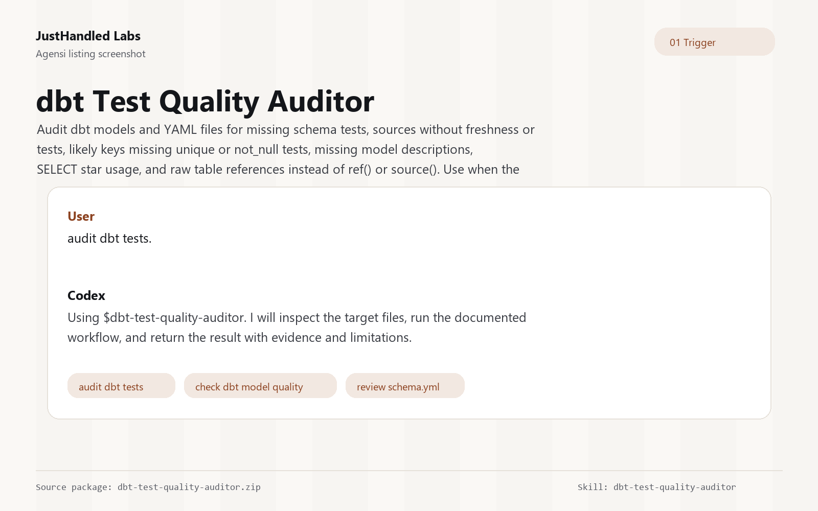 🧪 dbt Test & Quality Auditor preview