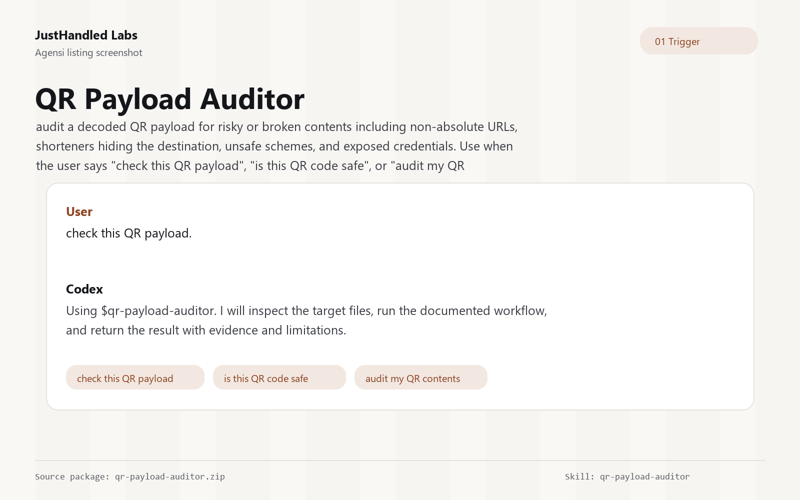 🔳 QR Payload Auditor preview
