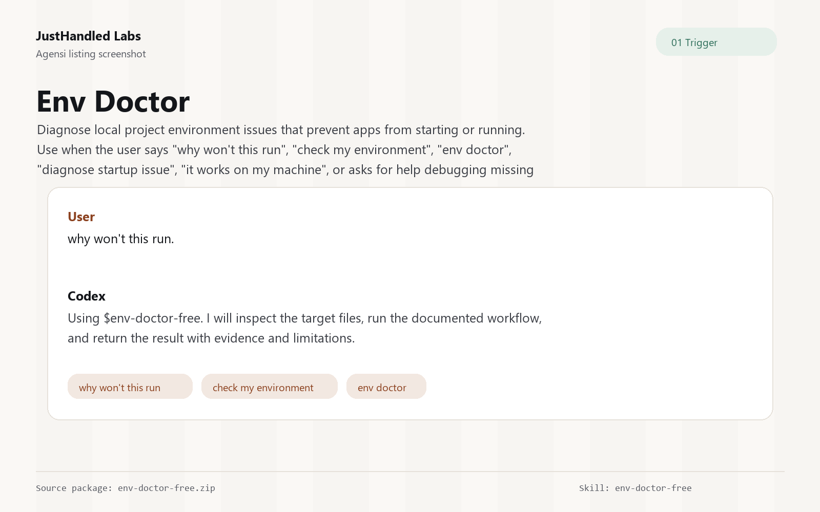 🩺 Env Doctor preview