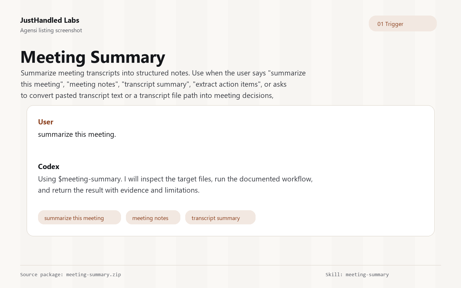 📋 Meeting Summary preview