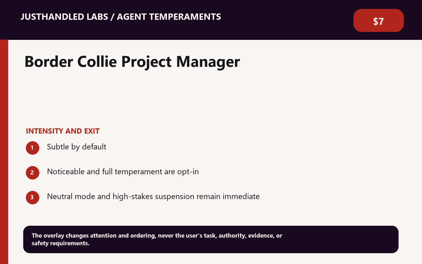 🐕 Border Collie Project Manager screenshot 2