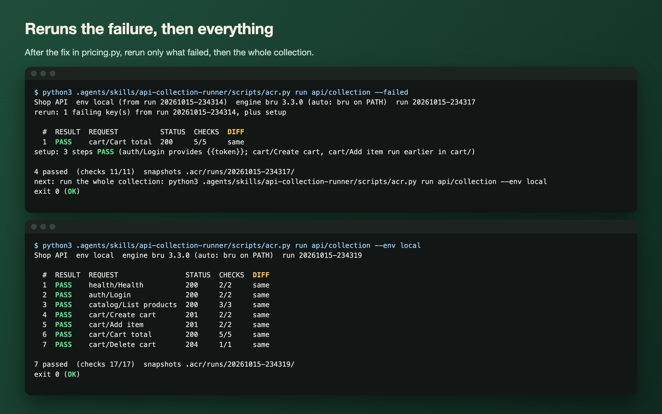 API Collection Runner: Bruno Run, Diff and Fix Loop screenshot 2