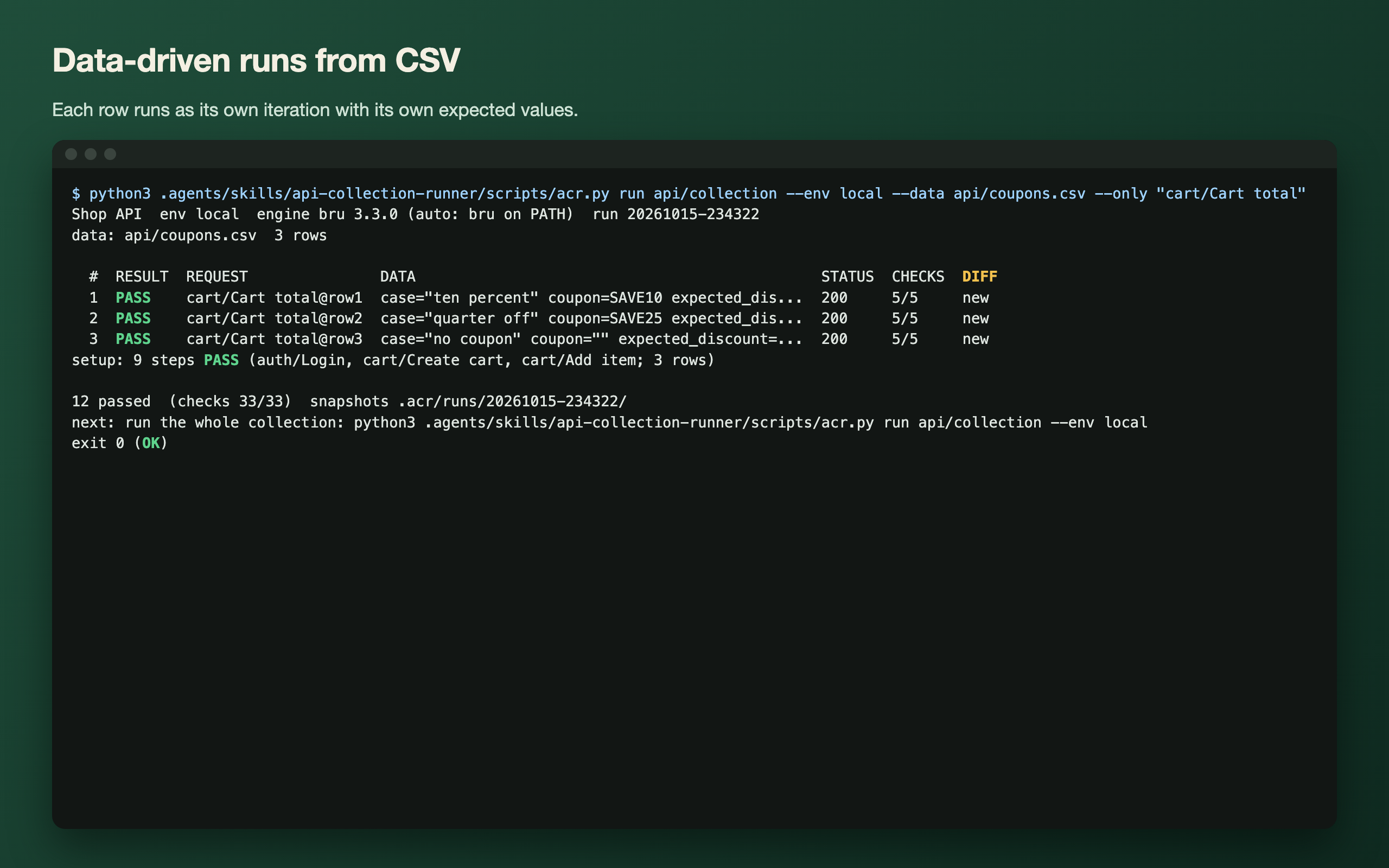 API Collection Runner: Bruno Run, Diff and Fix Loop screenshot 5