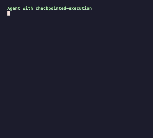 Checkpointed Execution screenshot 3