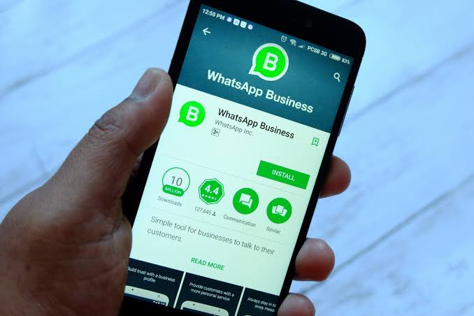 process message special WhatsApp Business