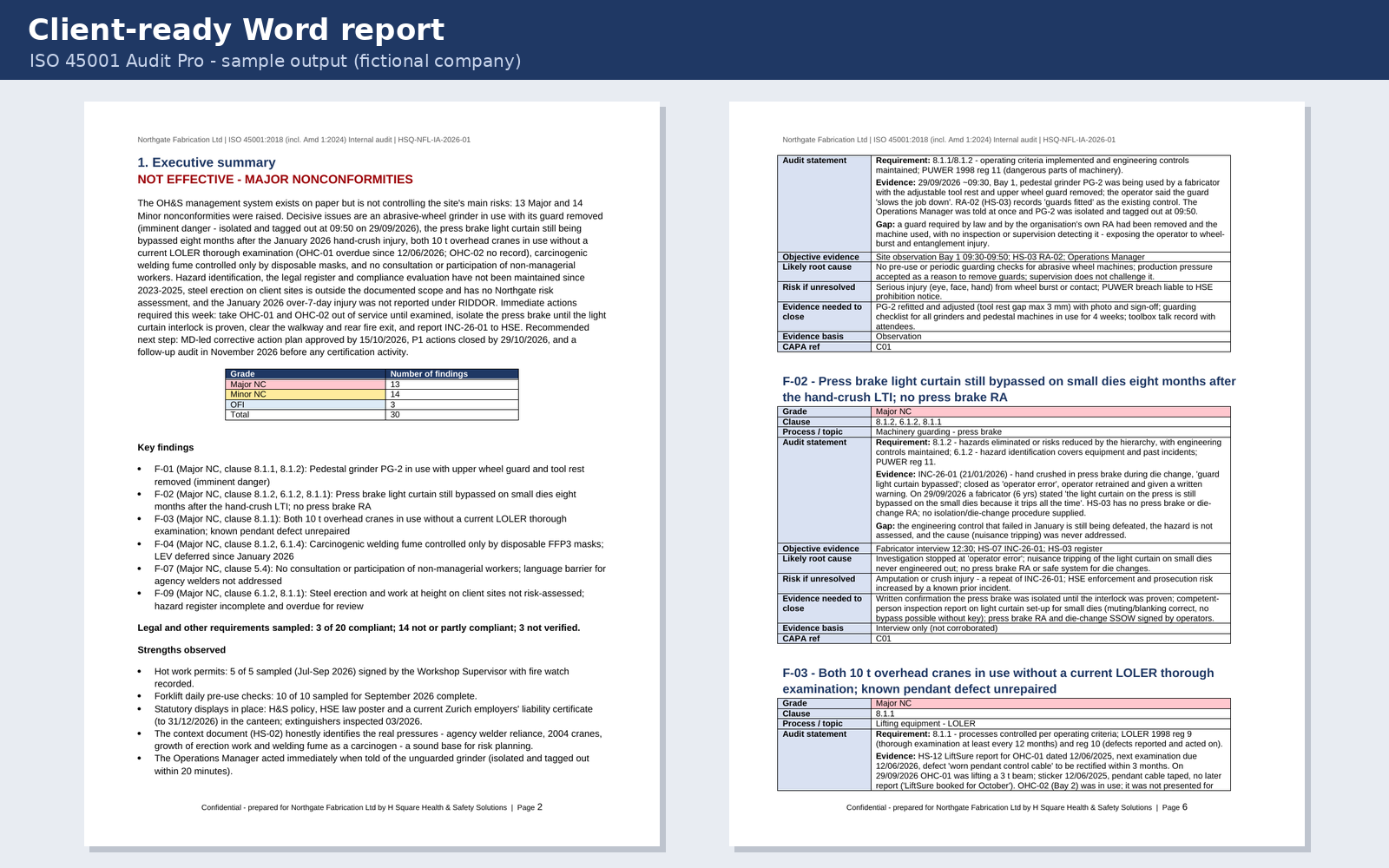 iso45001 audit pro screenshot 5
