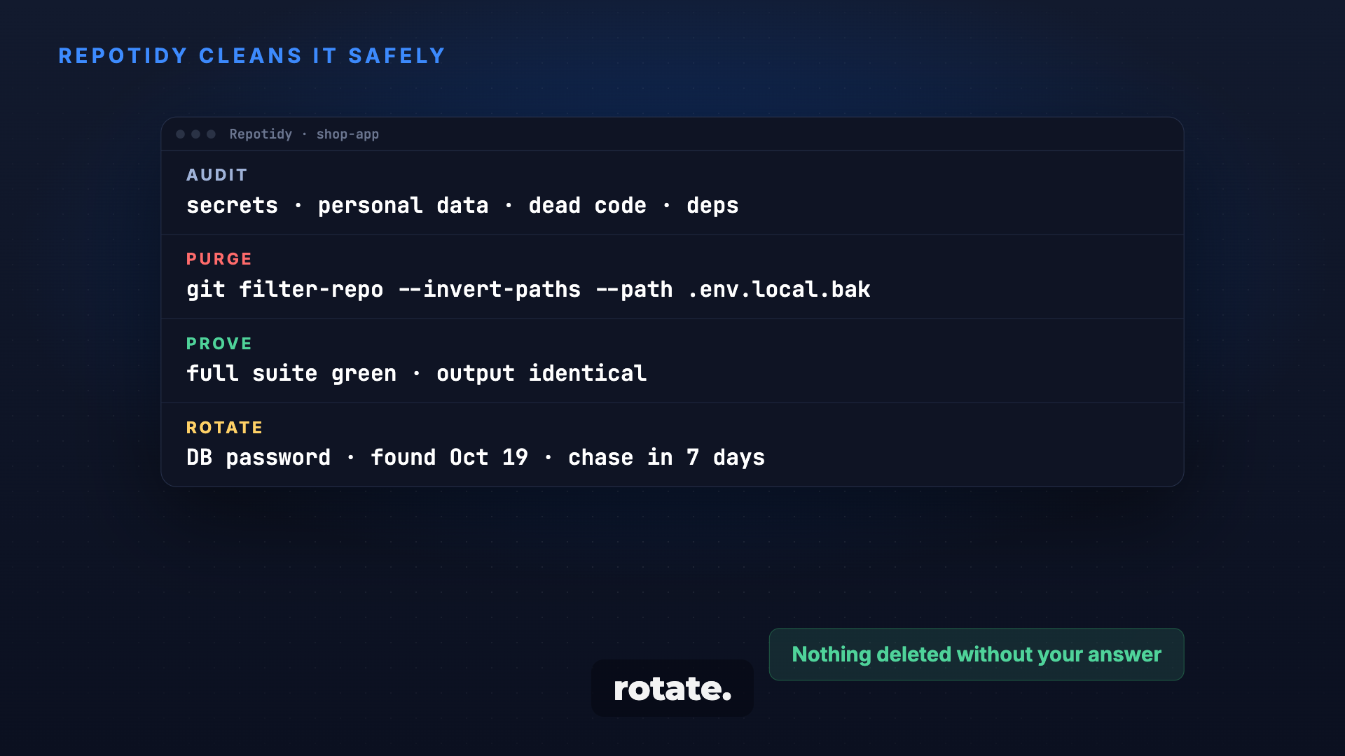 Repotidy: A clean repo before you publish or hand over screenshot 3