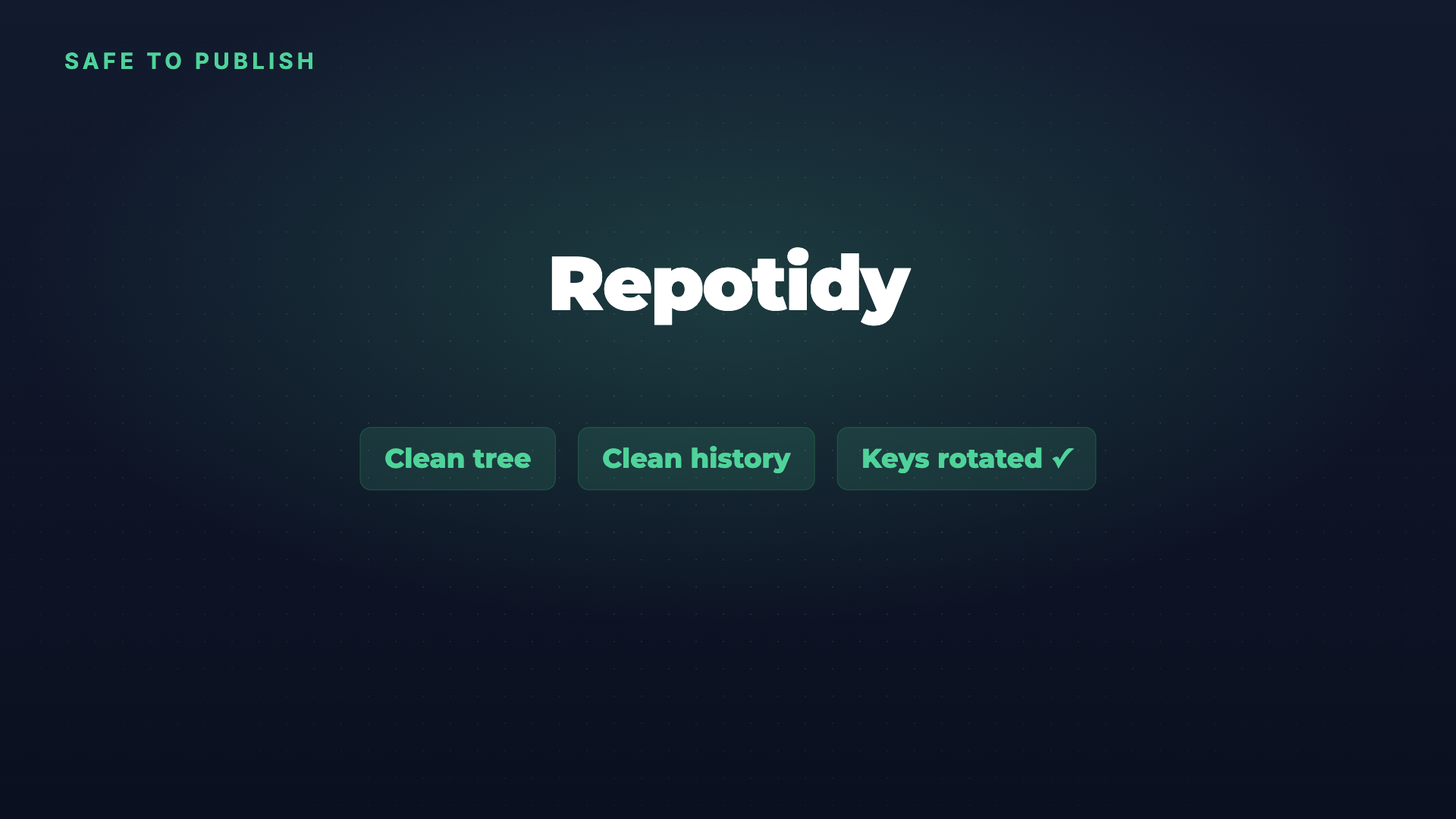 Repotidy: A clean repo before you publish or hand over screenshot 4