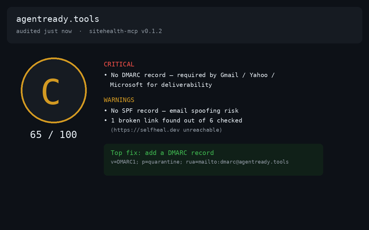 sitehealth mcp screenshot 2