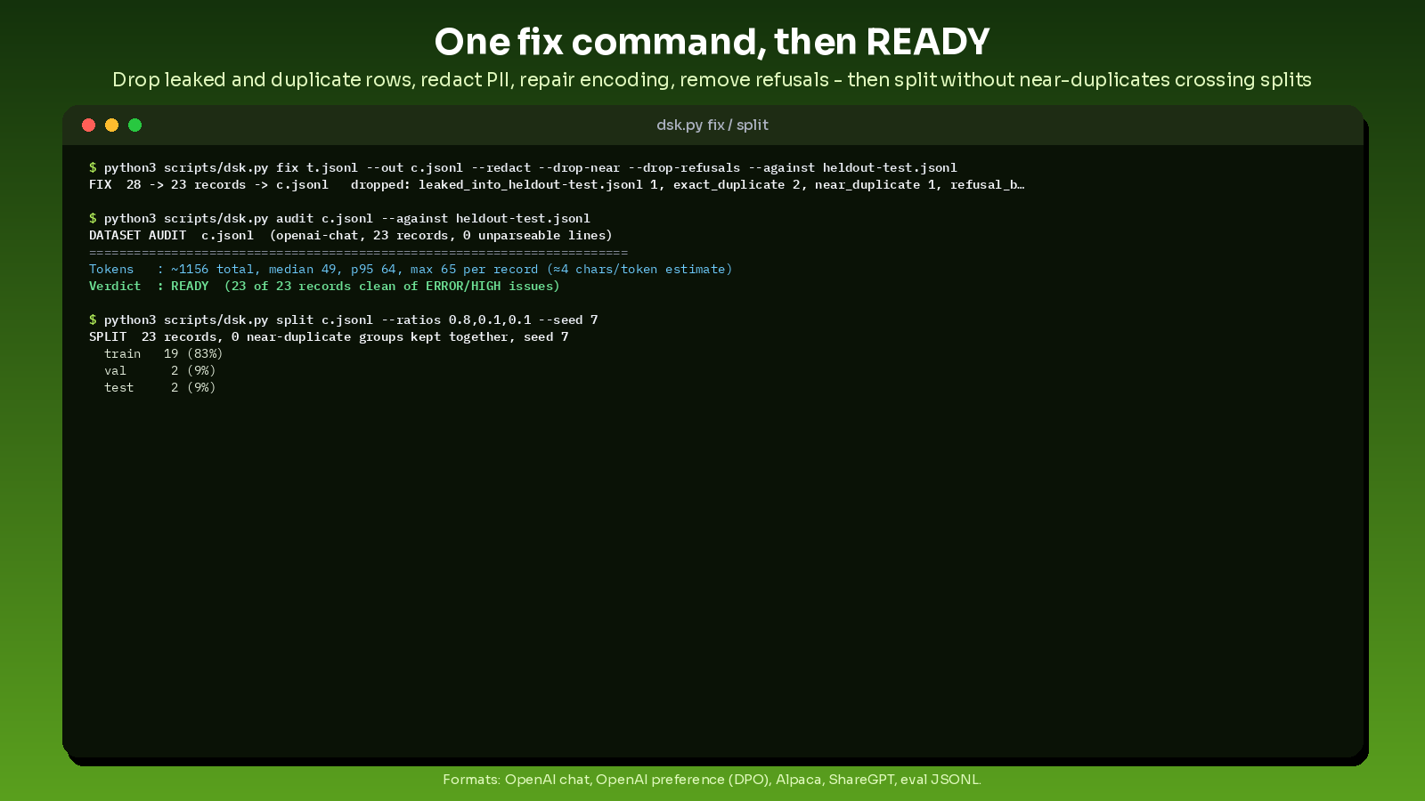 jsonl dataset builder and auditor screenshot 2