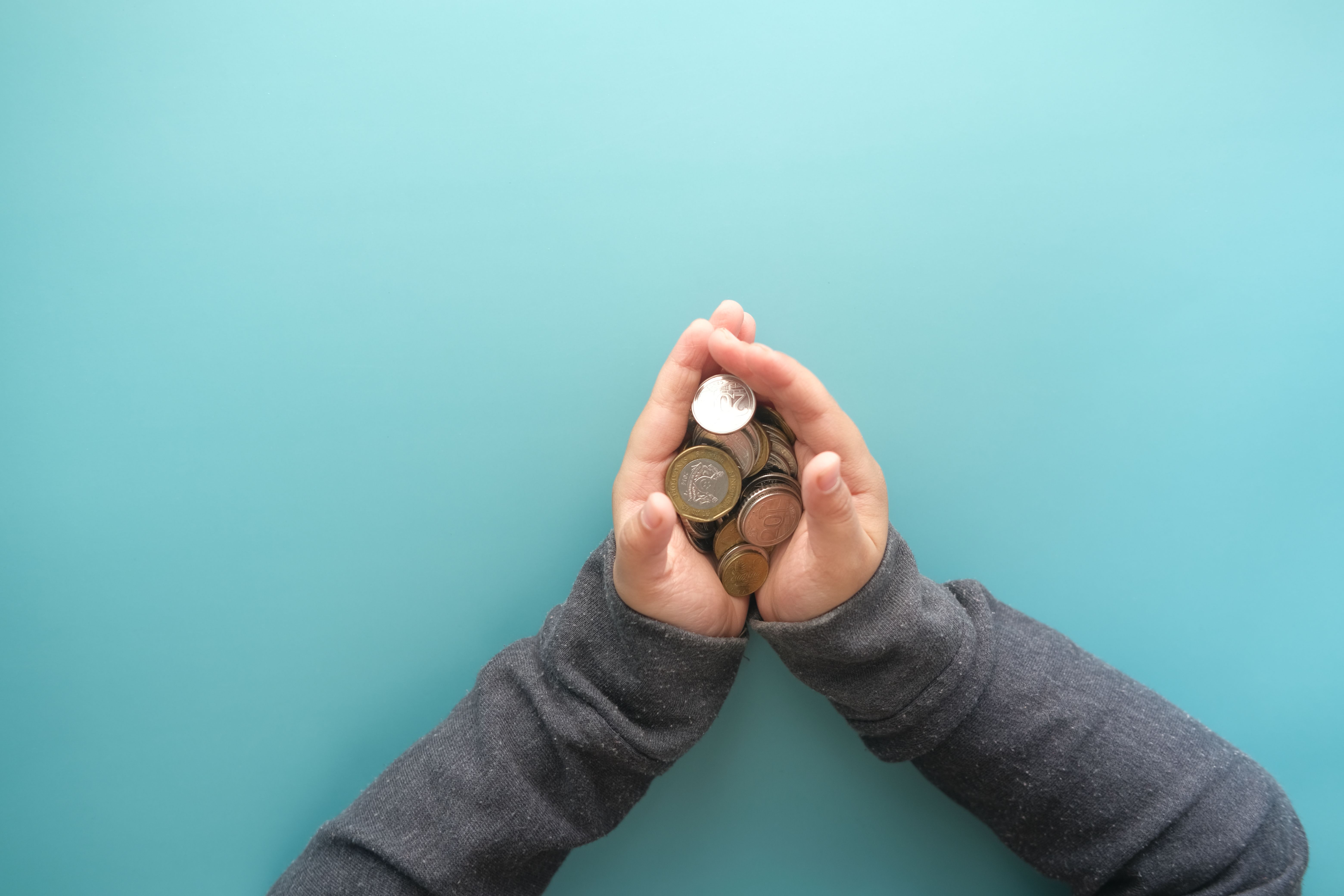 Fundraising Opportunity Builder preview