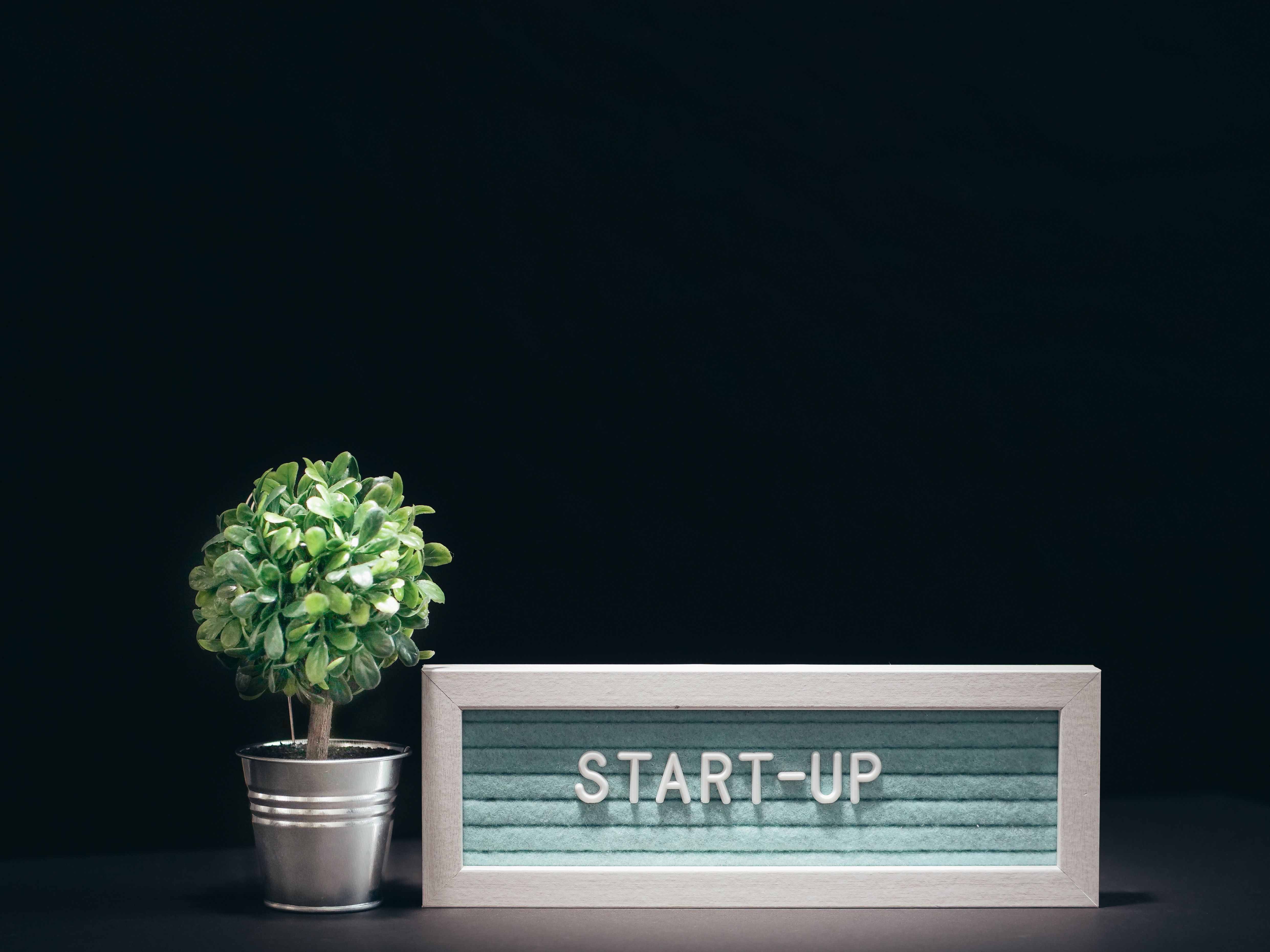 Startup Due Diligence Pro preview