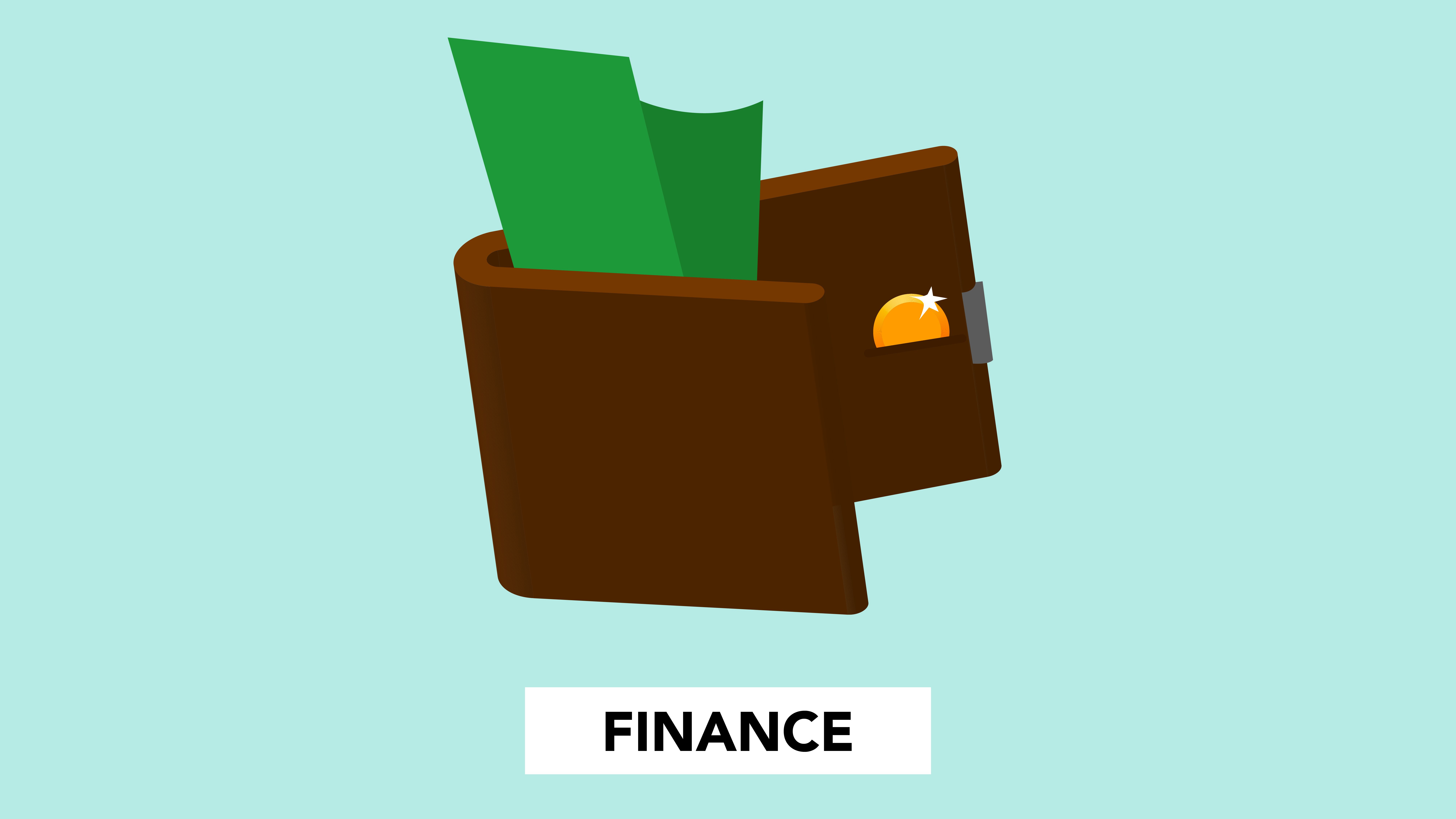 Management Finance Pro preview