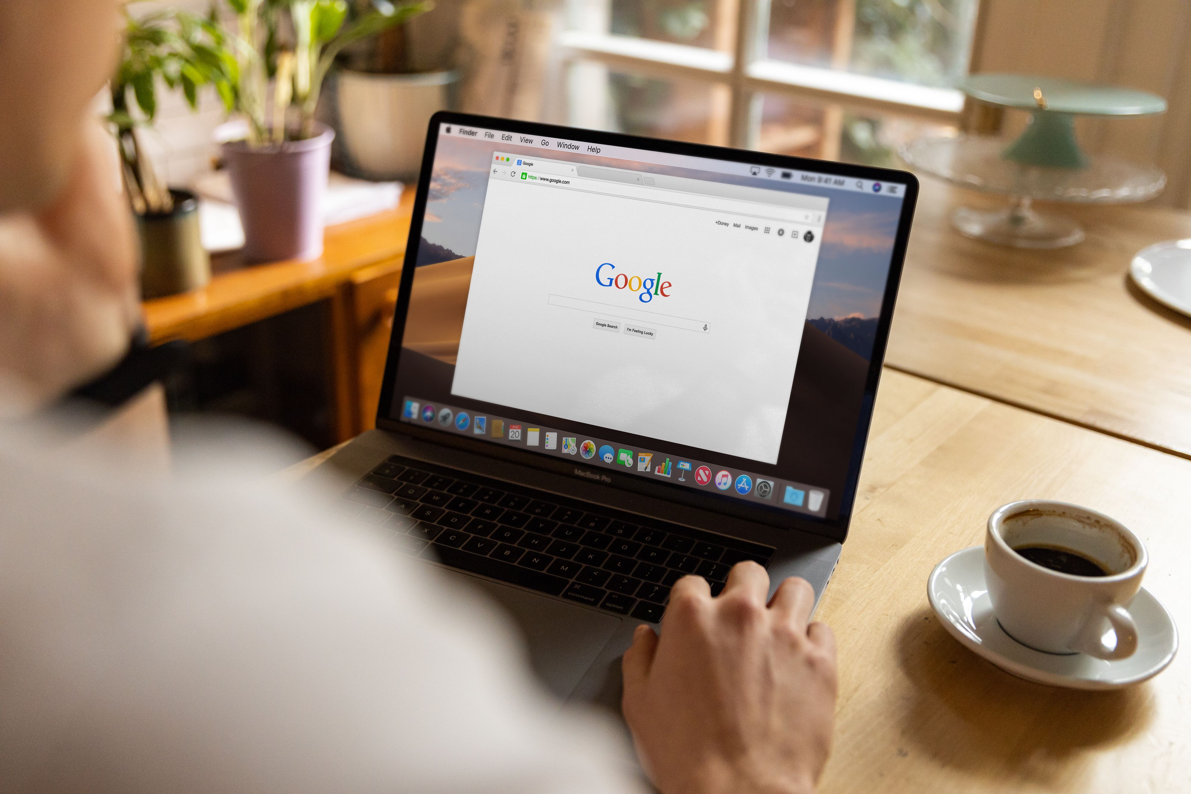 Search Engine Architect preview
