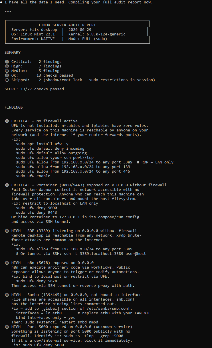 linux-audit screenshot 1