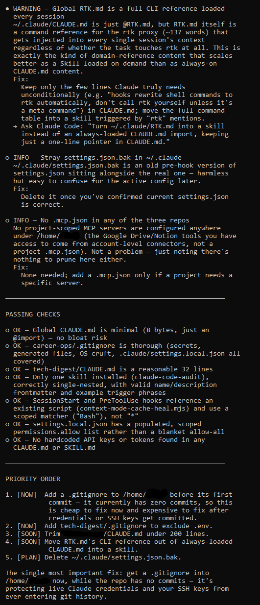 claude-code-audit screenshot 2