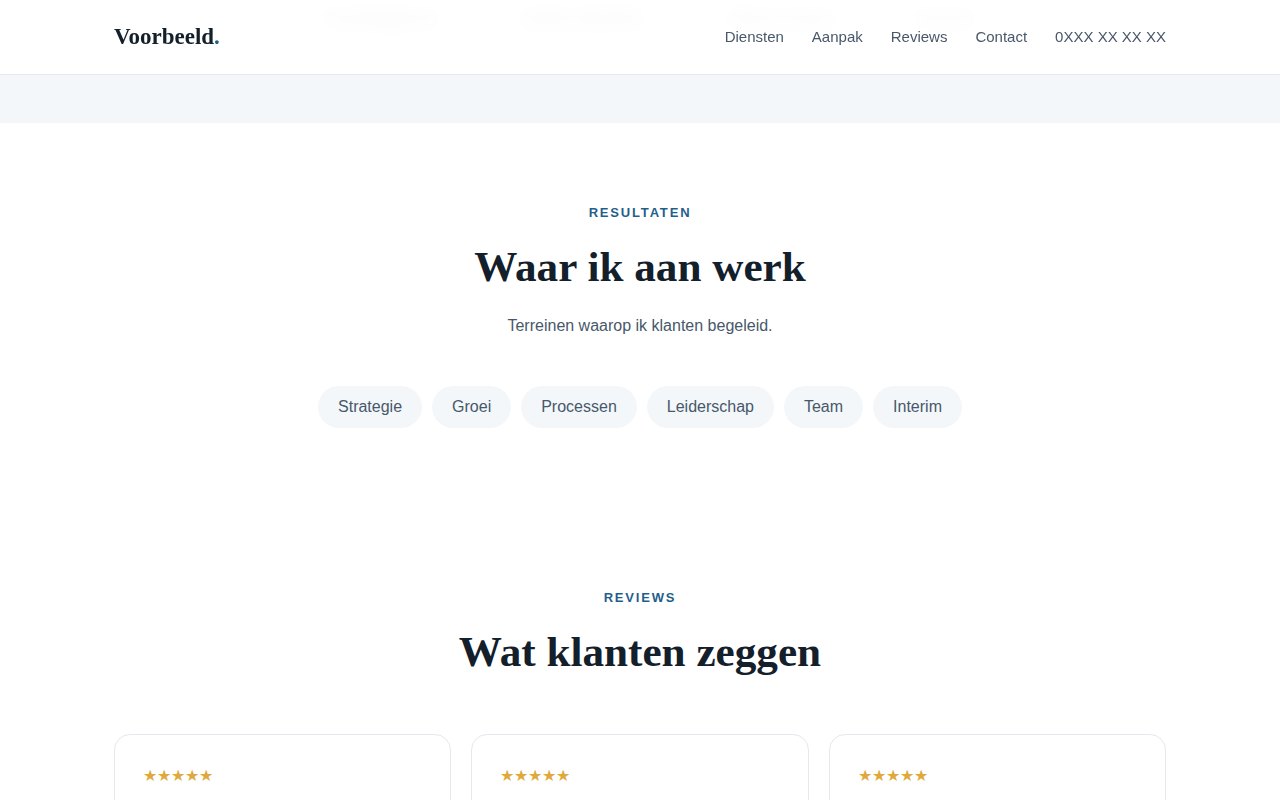 nex-consultant-coach-template screenshot 2