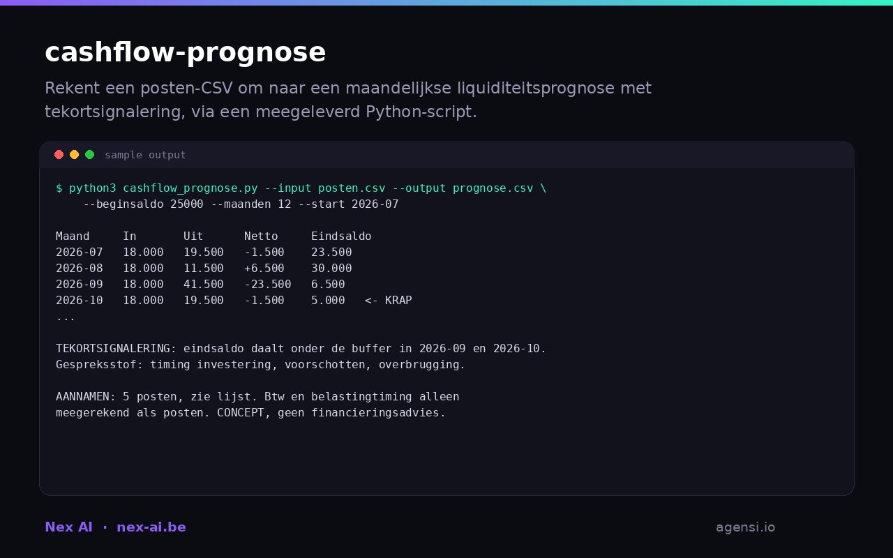 Cashflow Prognose preview