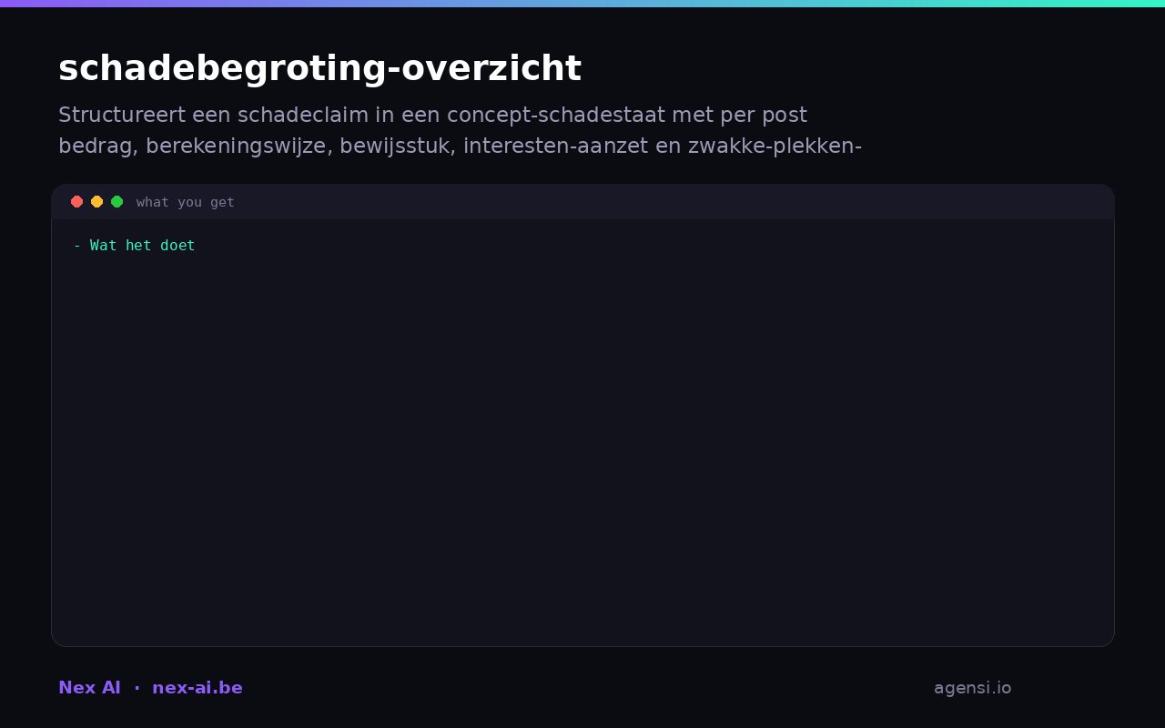 Schadebegroting Overzicht preview