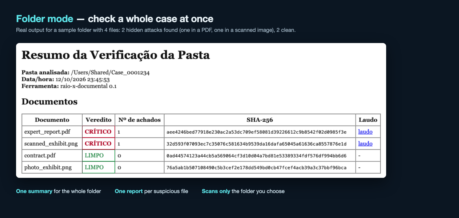 raio-x-documental — Hidden Text & Prompt Injection Detector screenshot 3