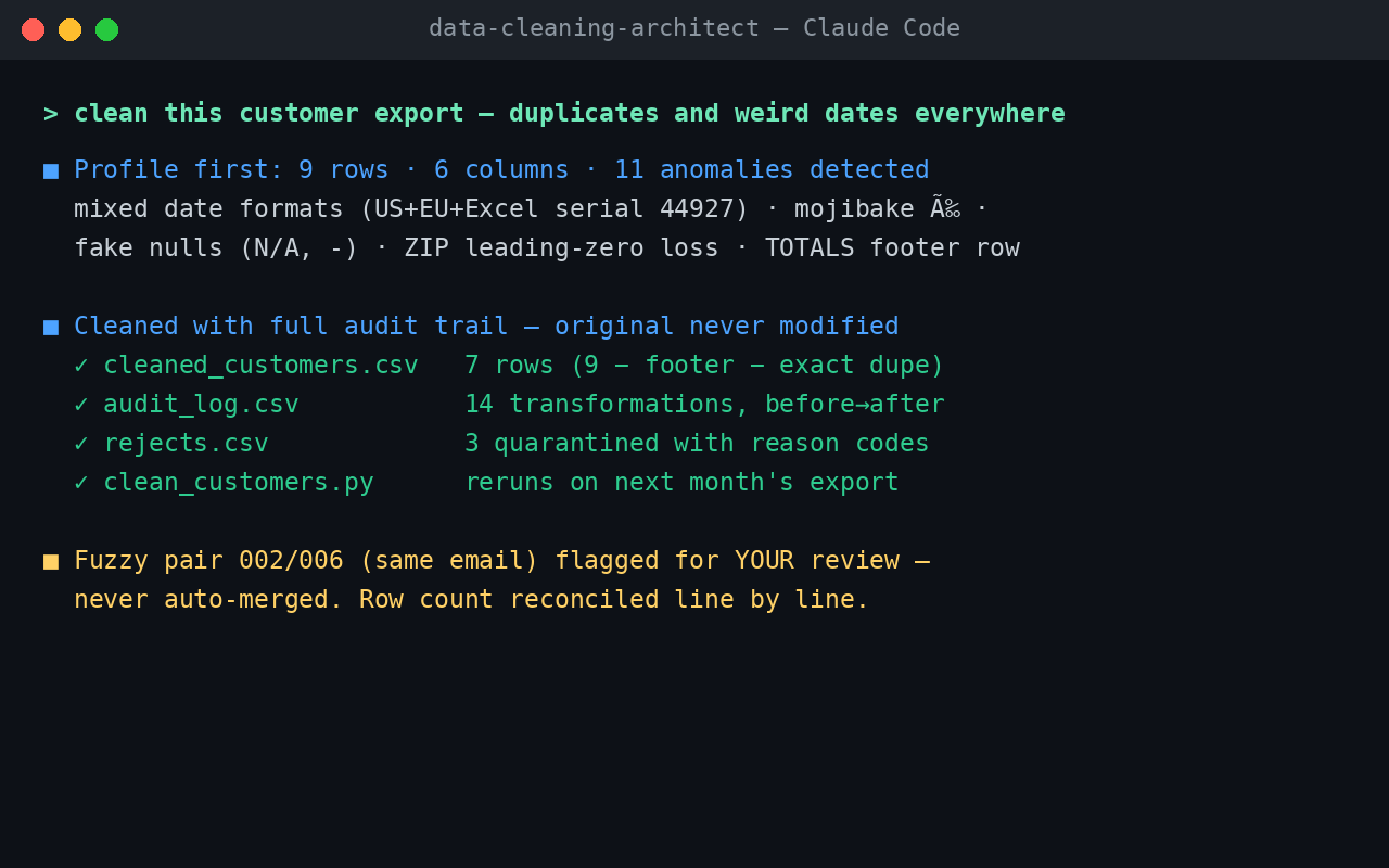 data-cleaning-architect screenshot 1