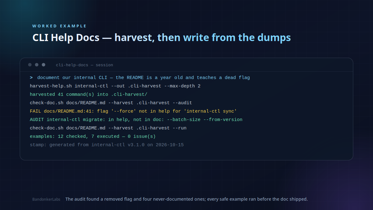 CLI Help Docs preview