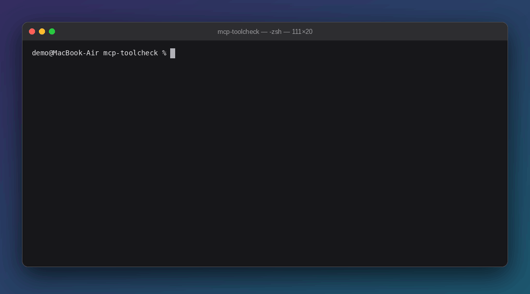 MCP Server Security Check preview