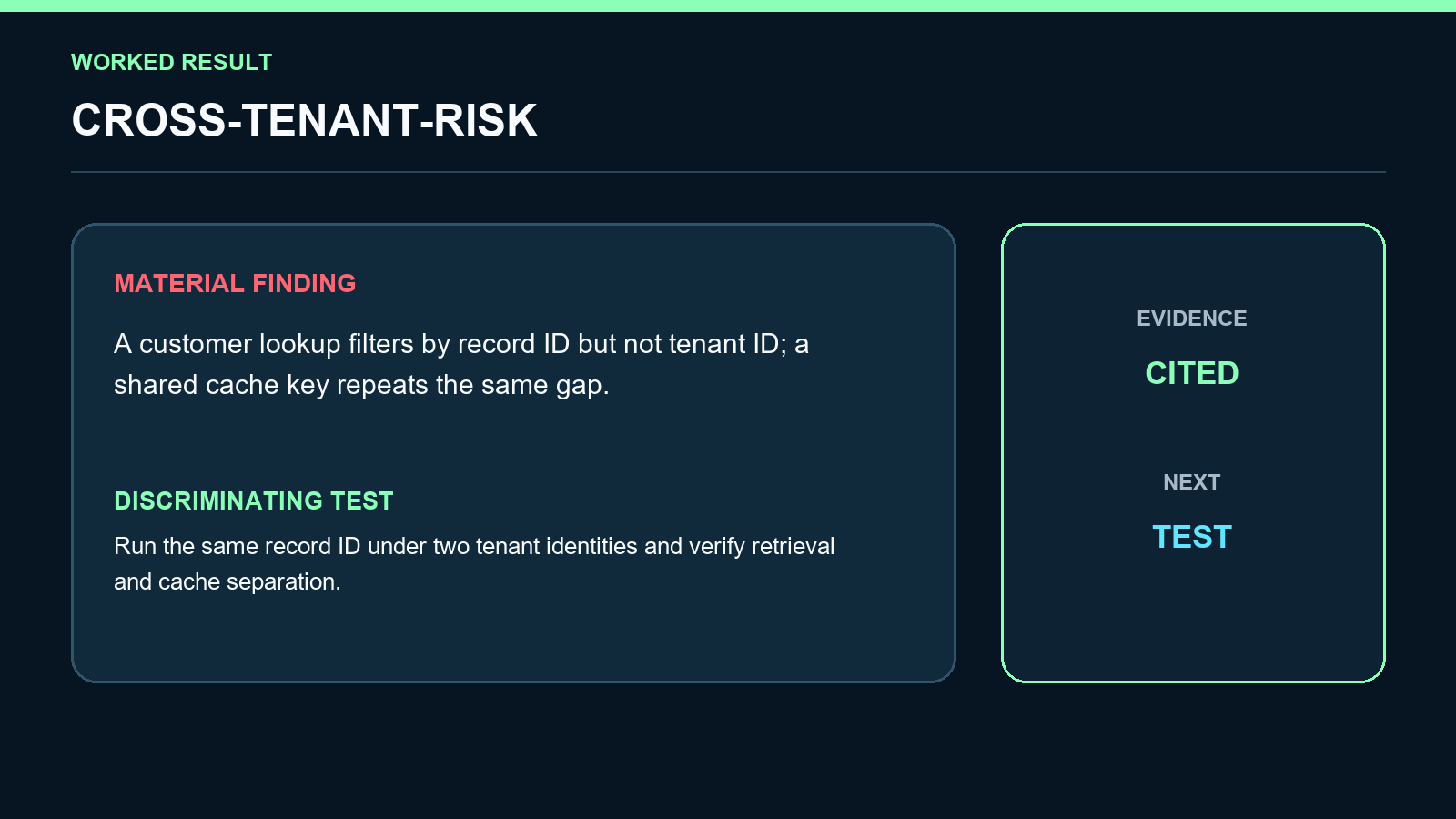 Tenant Isolation Auditor screenshot 3