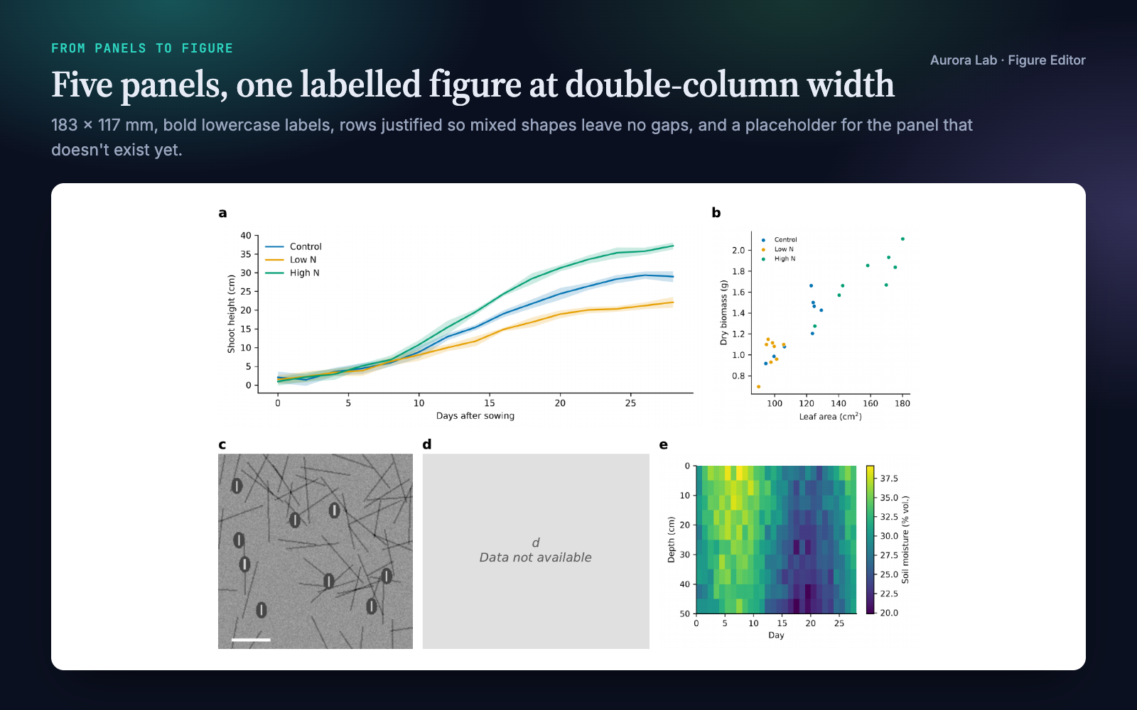 Figure Editor: Multi-Panel Journal Figures from Your Images preview