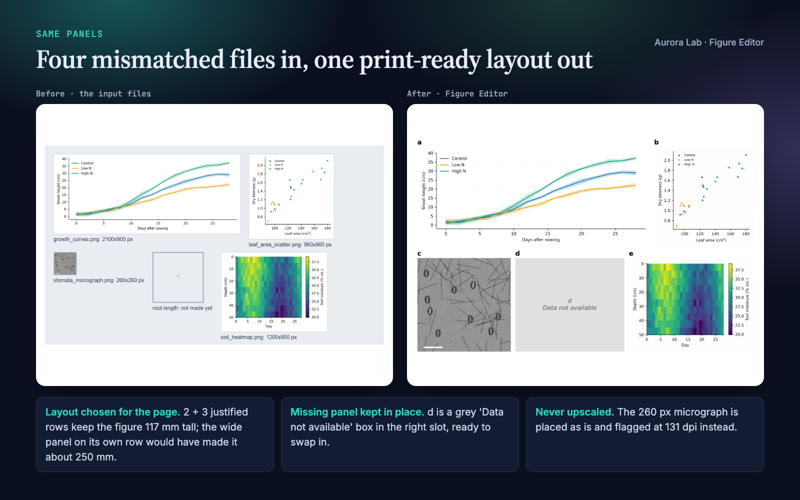 Figure Editor: Multi-Panel Journal Figures from Your Images screenshot 2