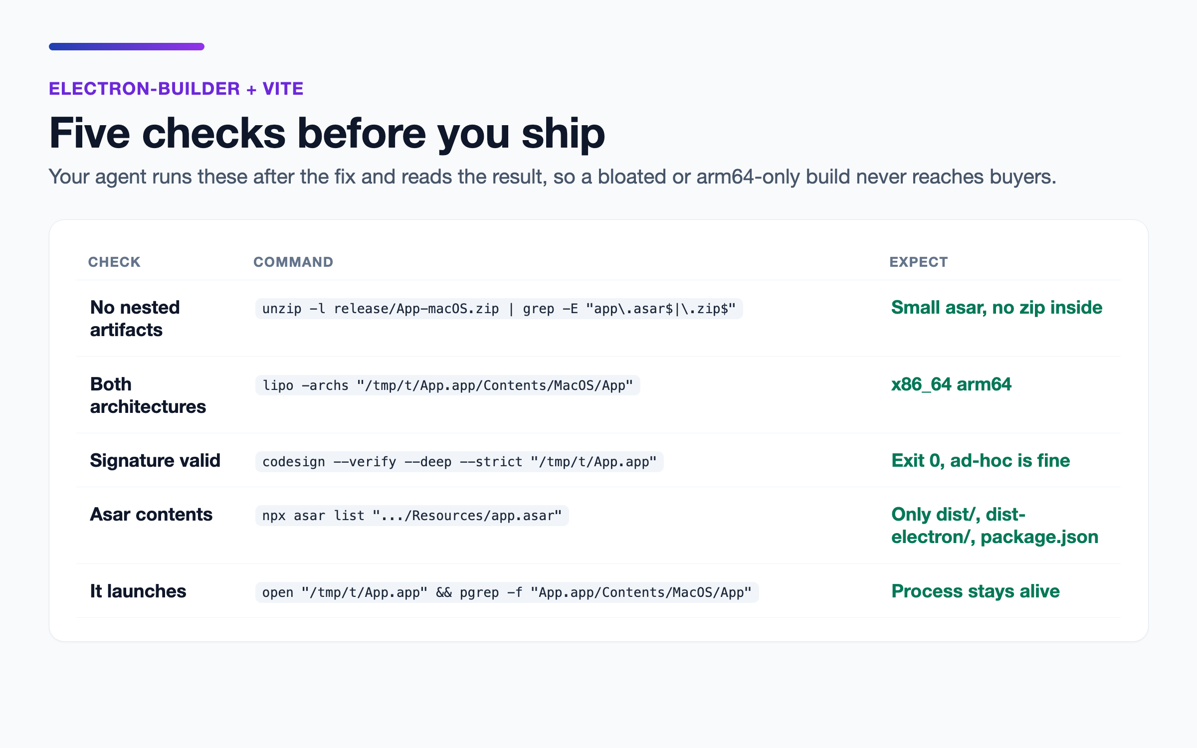 electron-builder + Vite Packaging Fix screenshot 2