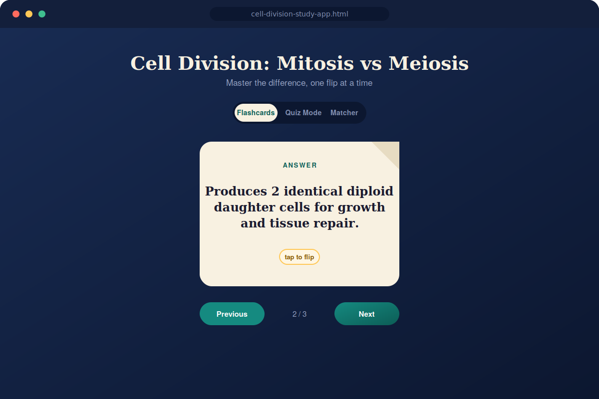 Interactive Study Builder – Flashcards & Quizzes preview