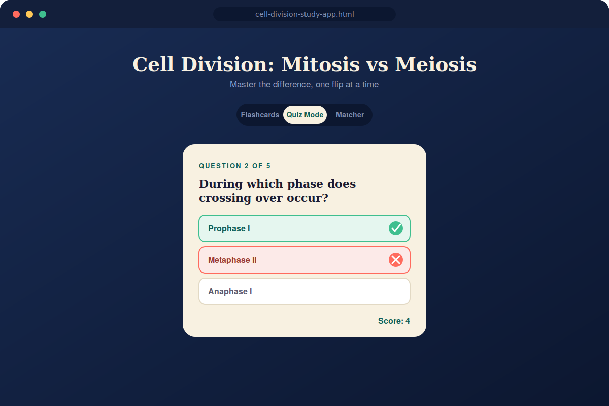 Interactive Study Builder – Flashcards & Quizzes screenshot 2