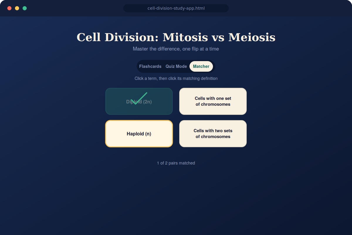 Interactive Study Builder – Flashcards & Quizzes screenshot 3