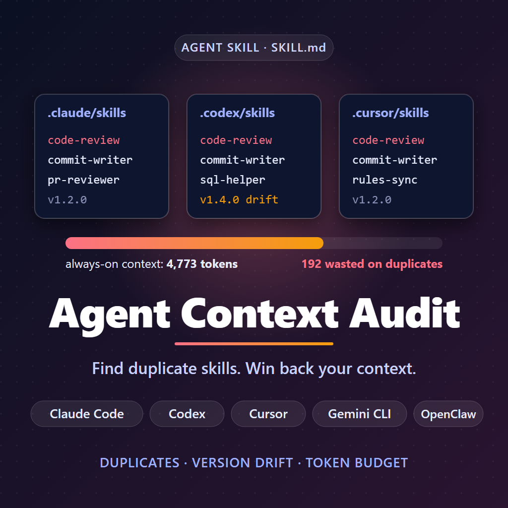 agent context audit