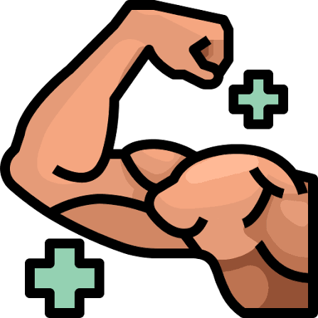 Dumbbell Workout Studio