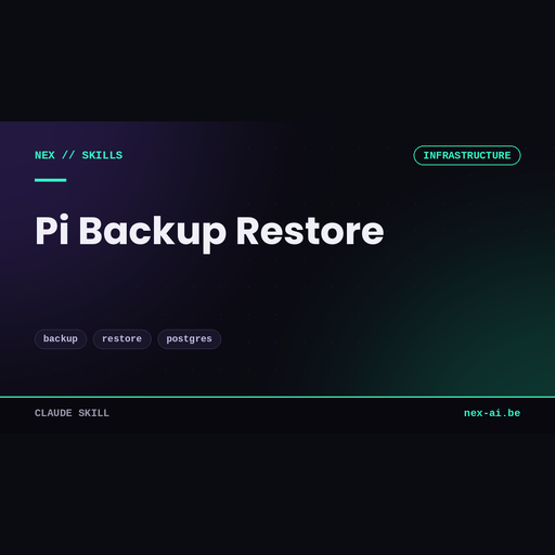 nex-pi-backup-restore