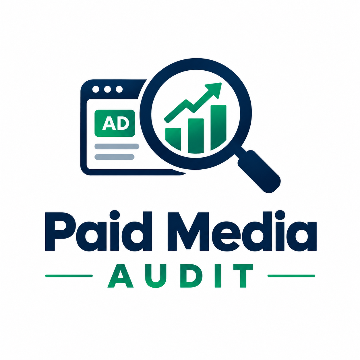 Paid Media Audit