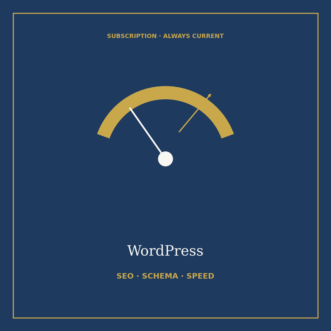 WordPress SEO, Schema & Speed Engine